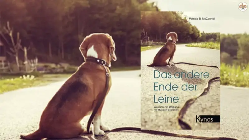 Buchvorstellung: Das andere Ende der Leine: Was unseren Umgang mit Hunden bestimmt
