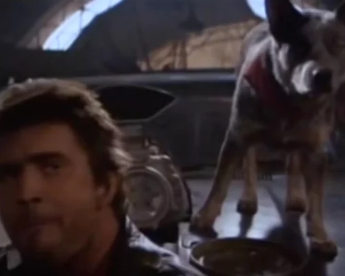 Dog in Mad Max