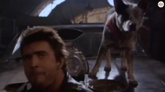 Dog in Mad Max