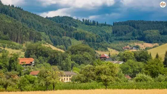 Gengenbach in Baden-Württemberg