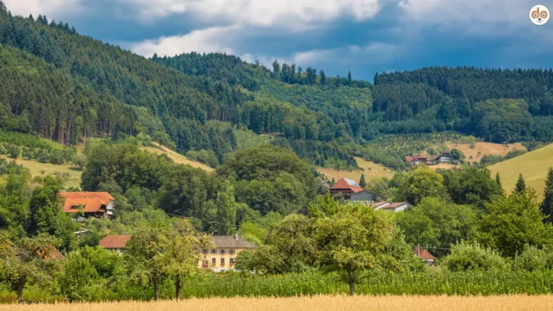Gengenbach in Baden-Württemberg