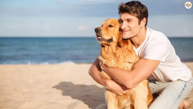 Hund am Strand umarmen