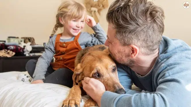Hund mit Vater und Kind auf Bett