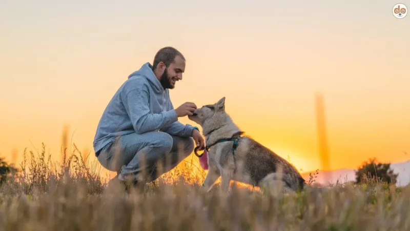 Einfach auch mal seinen Hund loben