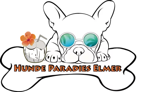 hundeparadies-elmer