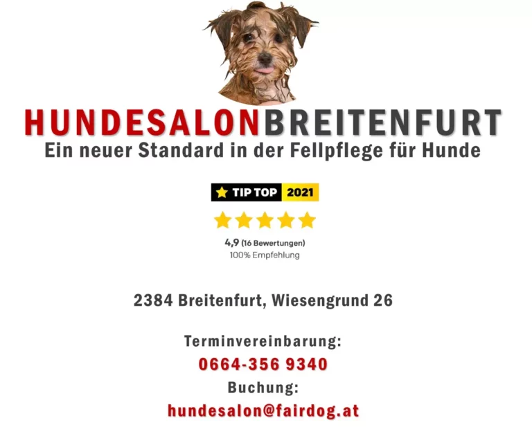 Hundesalon Breitenfurt - hundesalon breitenfurt hero12