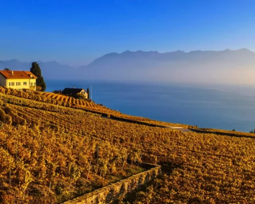 Lavaux im Kanton Wadt