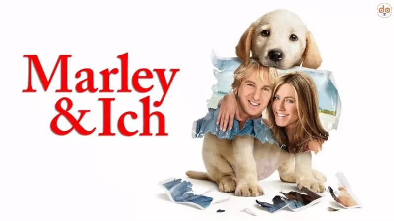 Marley aus “Marley & Ich” (2008): Der unvergessliche Labrador Retriever