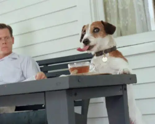 My Dog Skip