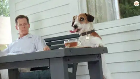 My Dog Skip