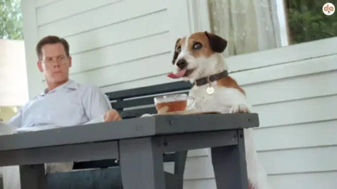 My Dog Skip