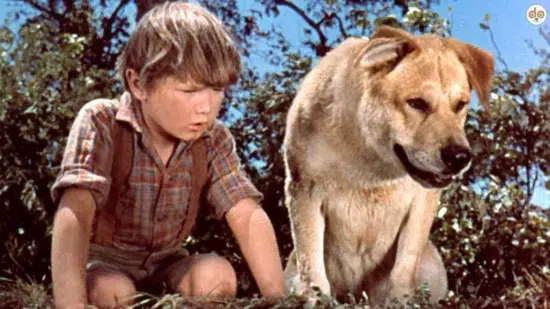 Old Yeller
