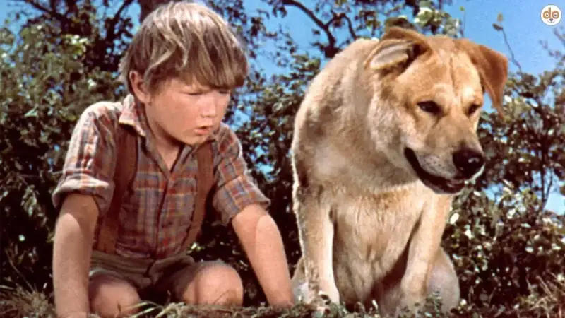 Old Yeller aus Old Yeller (1957): Der unvergessliche Held aus der Wildnis