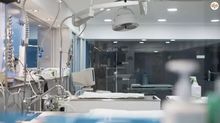 Operationssaal einer Tierklinik, Narkoserisiko bei Hunden