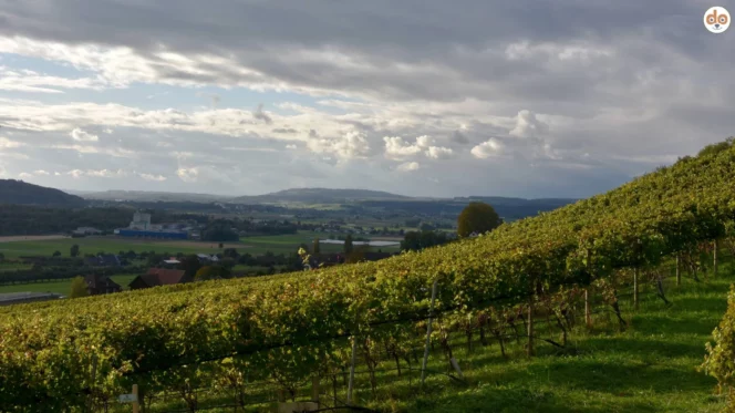 Ottoberg