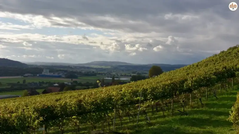 Ottoberg: Die Erhebung und ihre Bedeutung