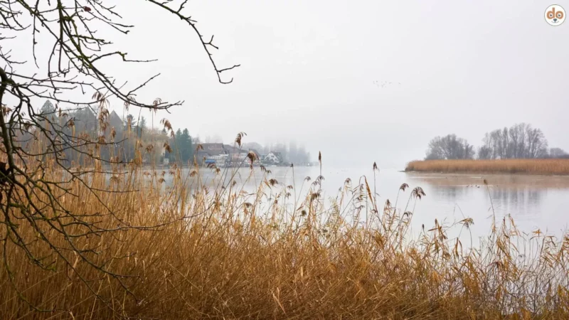 Gottlieben: Ein malerisches Dorf am Bodensee