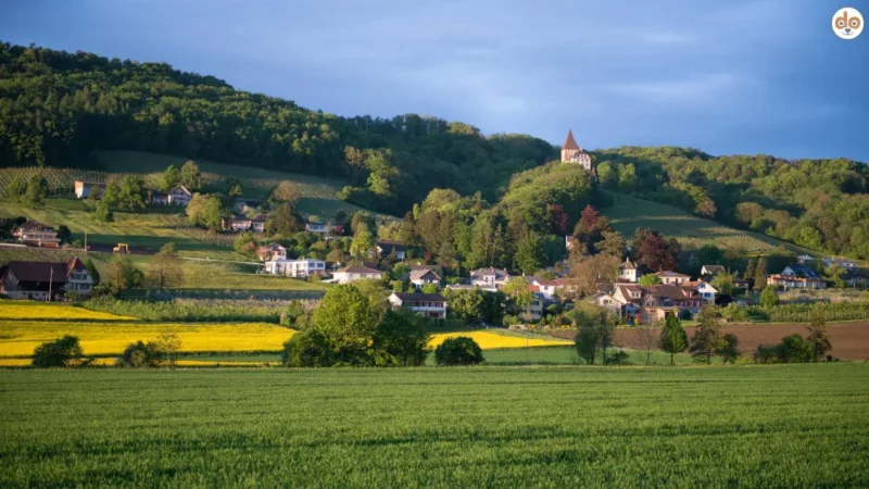 Schloss Weinfelden