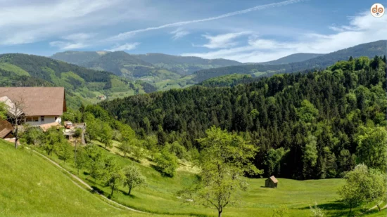 Schwarzwald