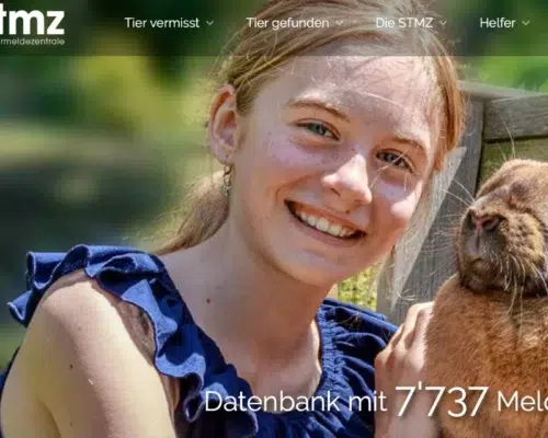 Vorstellung stmz