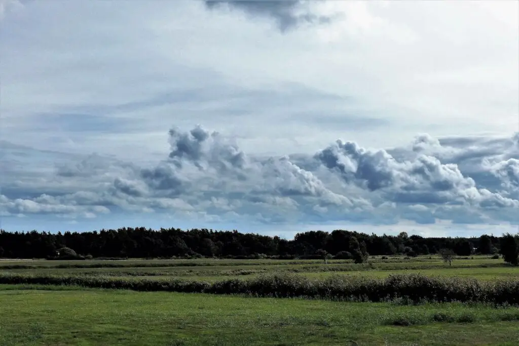Auszeit mit dem Hund: Die schönsten Orte in Mecklenburg-Vorpommern