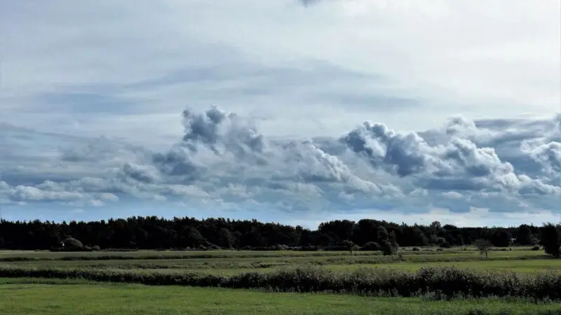 Auszeit mit dem Hund: Die schönsten Orte in Mecklenburg-Vorpommern - Landschaft am Meer BewC3B6lkung Mecklenburg Vorpommern Landkreis Vorpommern RC3BCgen 01