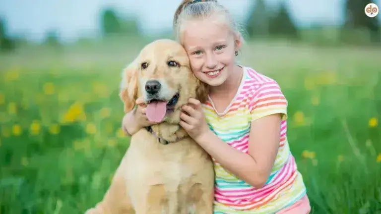 Golden dreht sich, hat Stress durch Umarmung