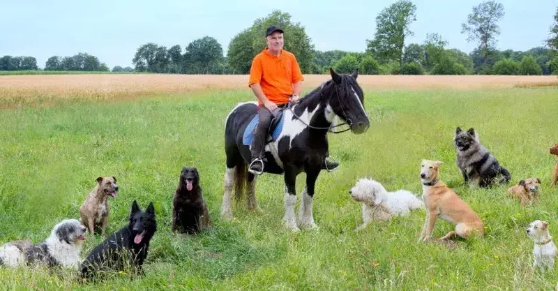 Ausbildungs & Resozialisierungs Zentrum für Hunde im Tecklenburger Land