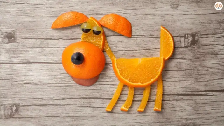 Hundefigur aus Zitrusfrüchten, Orangenscheiben