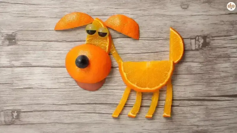 Zitrusfrüchte im Napf? So reagiert dein Hund auf Orangen & Co.