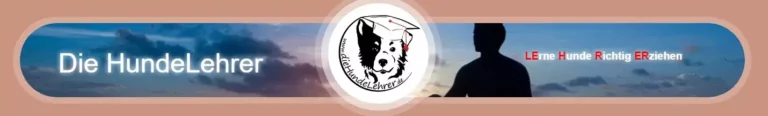 Die Hundelehrer - hundelehrer banner