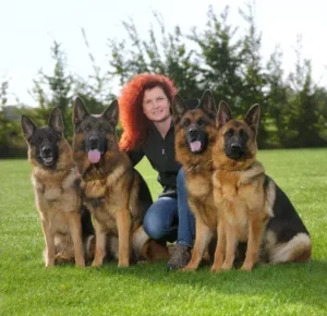 Logo Hundeschule und Pension Armstedt