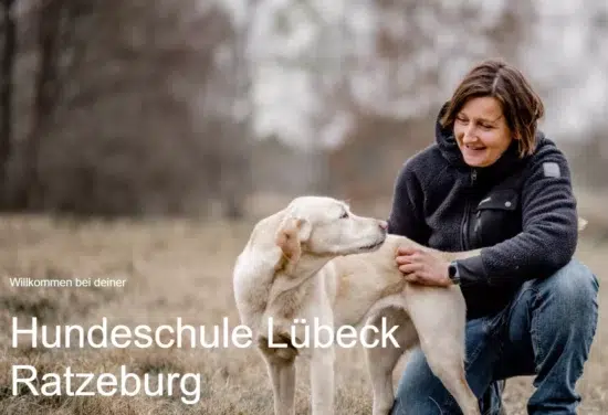 hundeschule-luebeck-ratzeburg