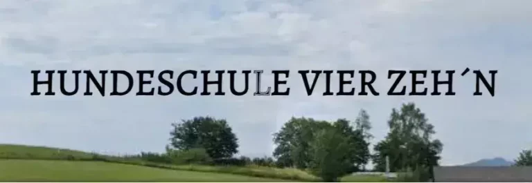 Hundeschule Vier Zeh'n Freistadt - hundeschule vier zehn