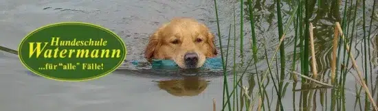 hundeschule-watermann