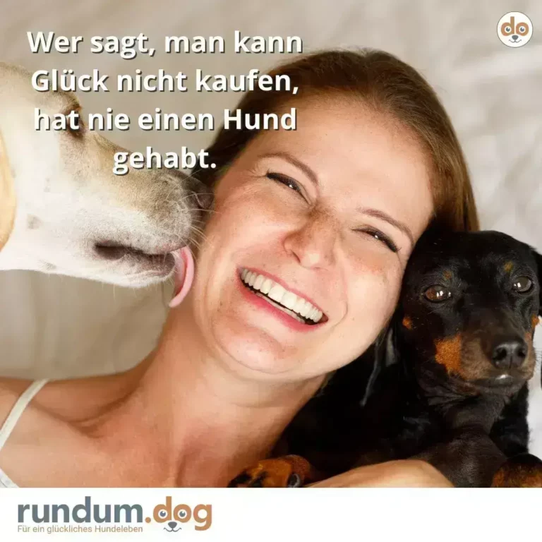 Frau lacht glücklich, ein heller Hund leckt ihr Ohr, ein schwarzer Hund mit Flecken schmiegt sich an sie