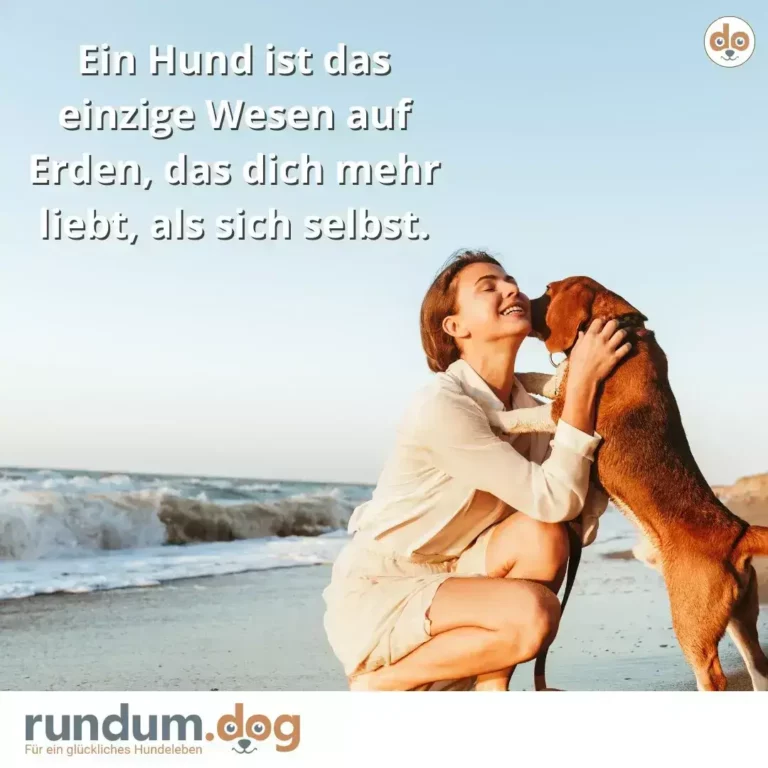 Frau kniet am Strand und umarmt einen rostbraunen Hund, beide schauen glücklich