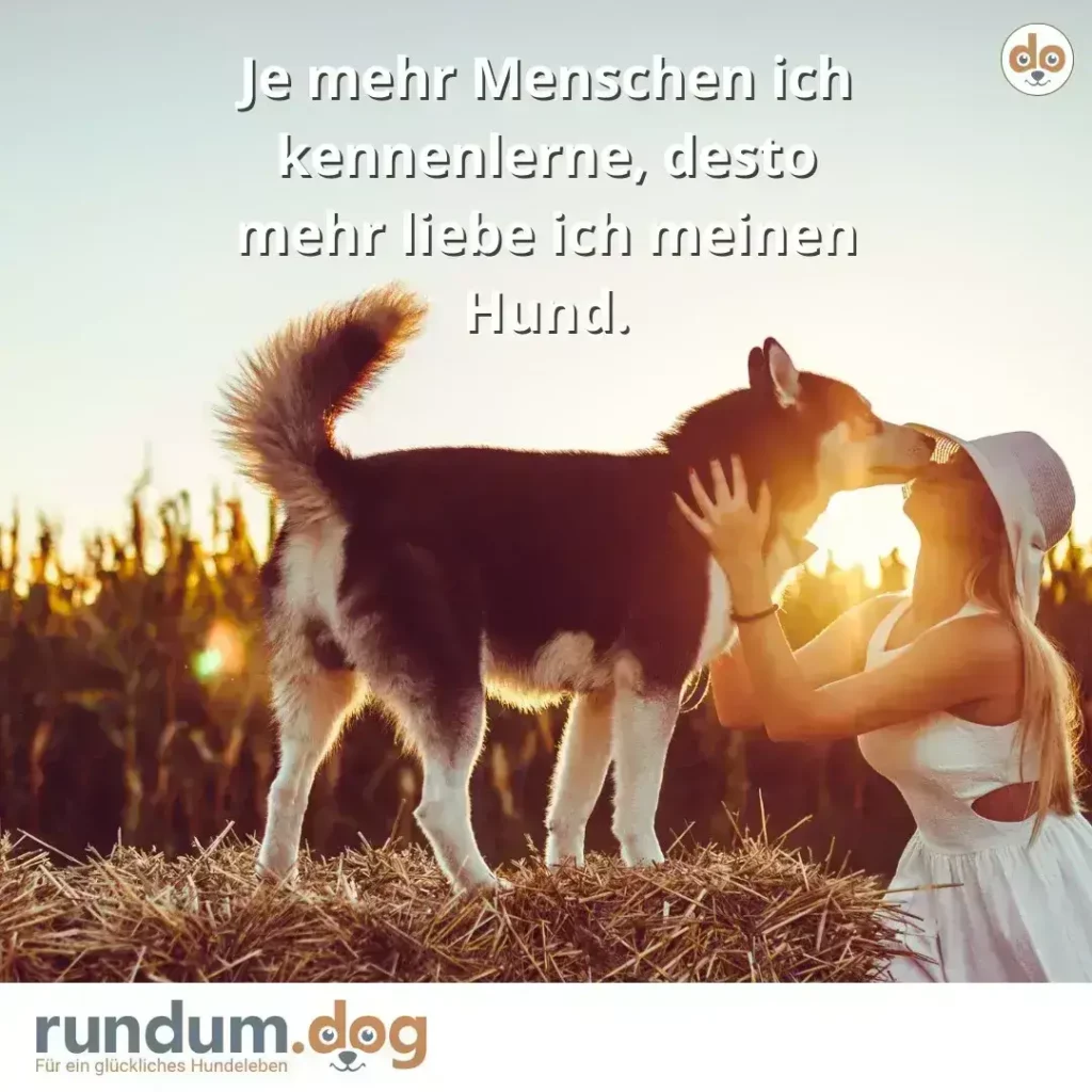 Frau in weissem Kleid und Hut streichelt einen braun-weissen Hund in goldenem Sonnenlicht auf Stoppelfeld