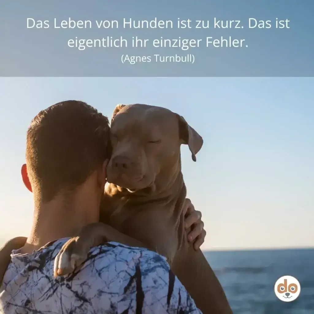 Mann hält braunen Labrador Retriever im Arm am Strand mit Meerblick im Hintergrund