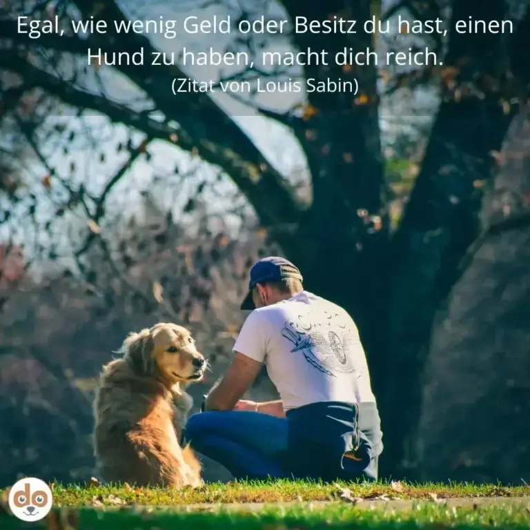 Mann hockt neben Golden Retriever in Naturlandschaft mit Felsen, beide blicken sich an