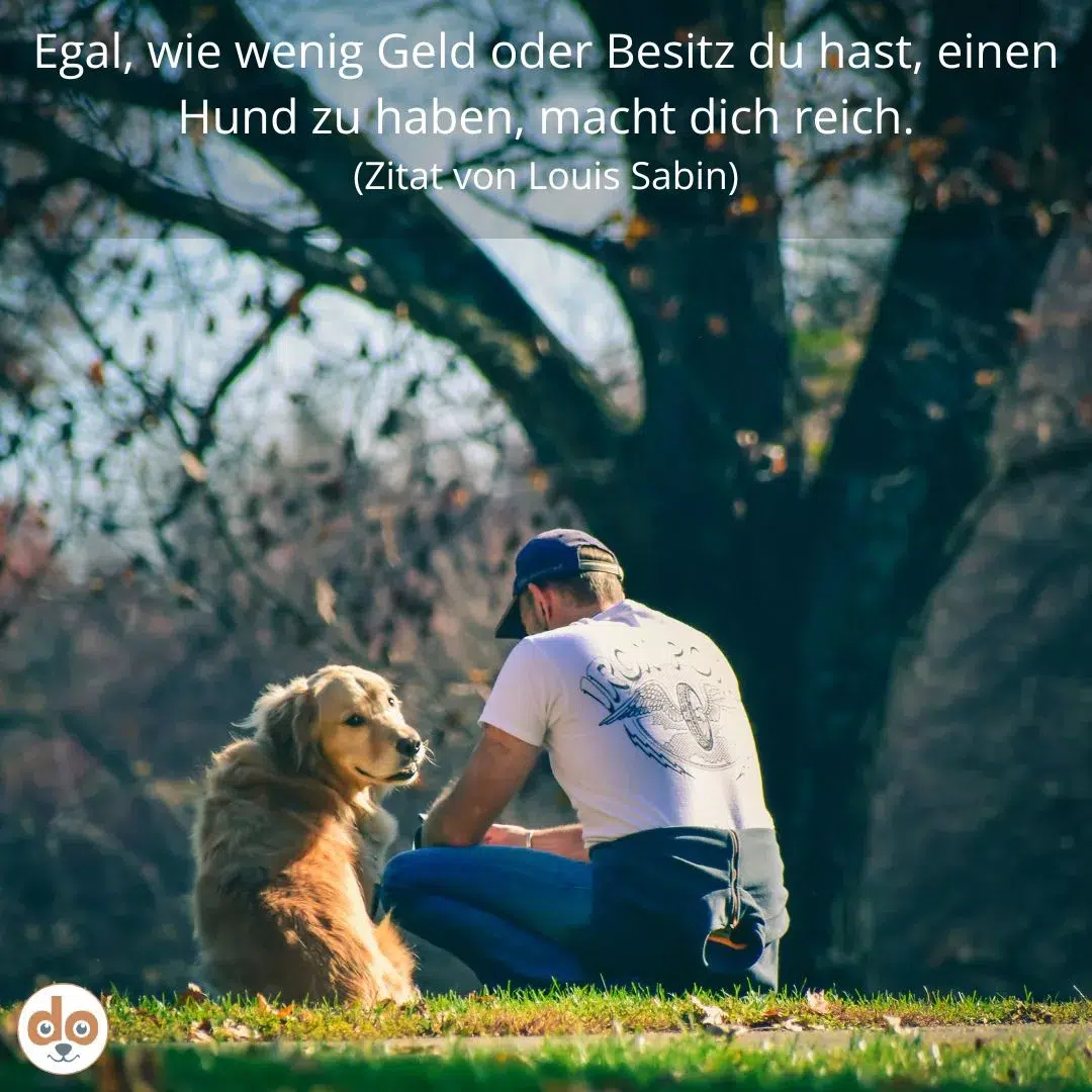 zitat hund haben macht reich