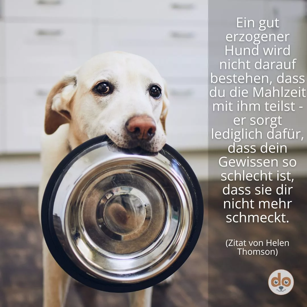 zitat mahlzeit gewissen