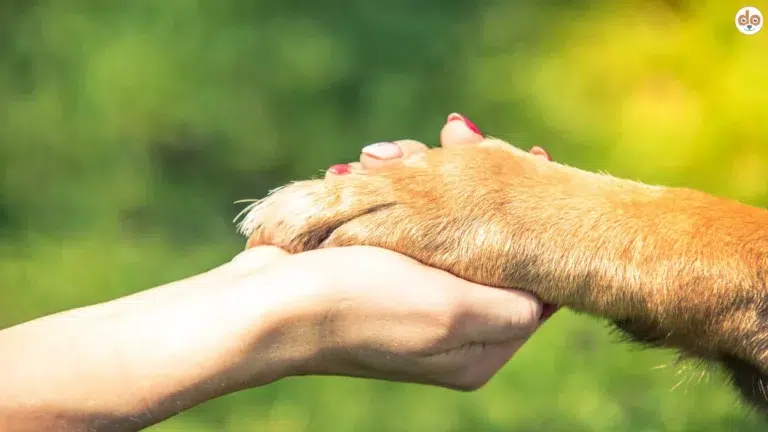 Positive Veränderungen am Bewirke etwas Tag