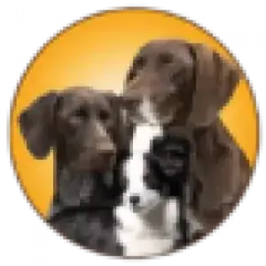 Logo Hundeschule Schmidt