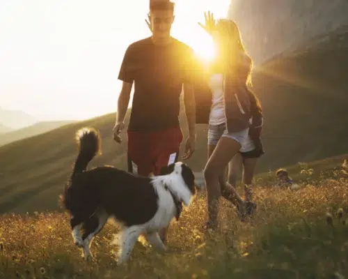 Zwei Jugendliche mit ihrem Hund beim Hiking in den Dolomiten