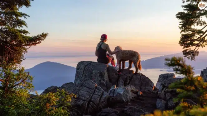Jugendliche mit ihrem Hund auf Felsen, Berg, Verantwortung