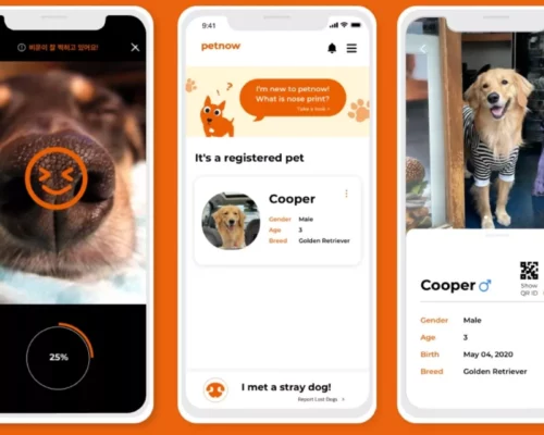 Petnow-App