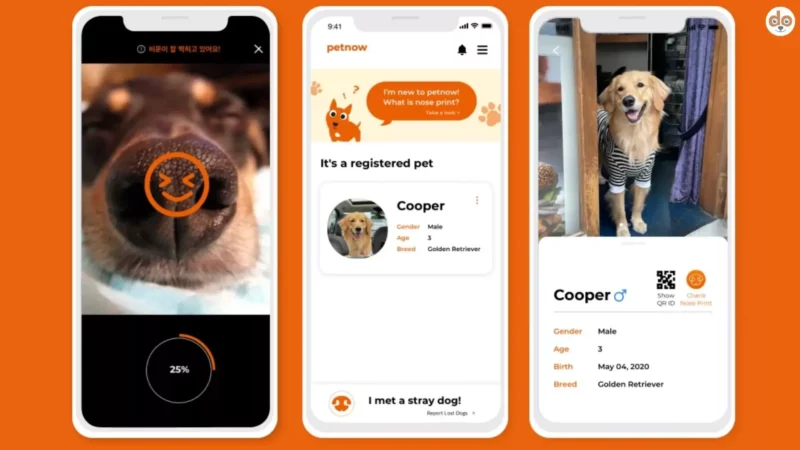 Die Petnow-App – Revolutionäre Technologie für die Sicherheit deiner Haustiere