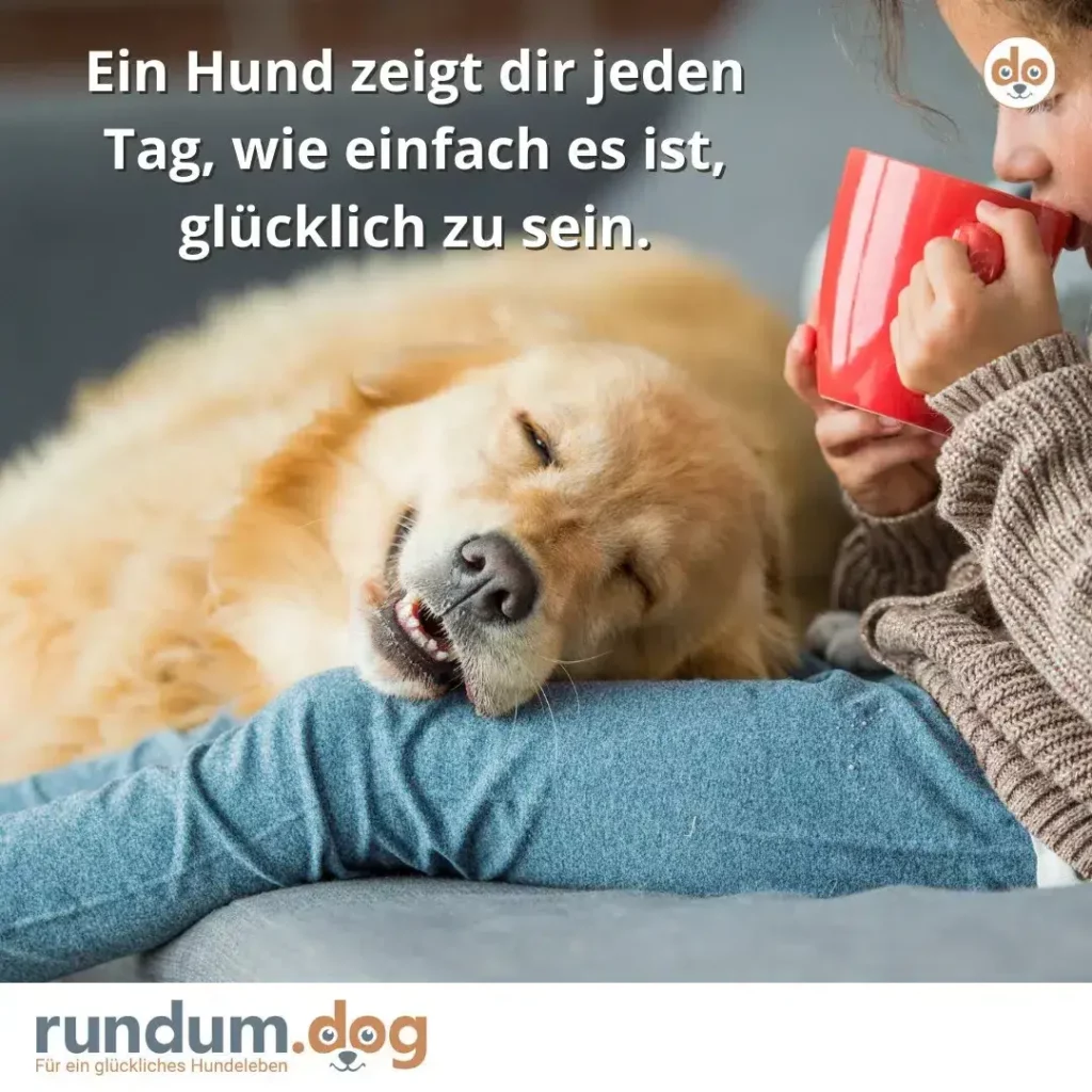 Kind mit rotem Buch sitzt neben goldenem Labrador, der mit geschlossenen Augen lächelt