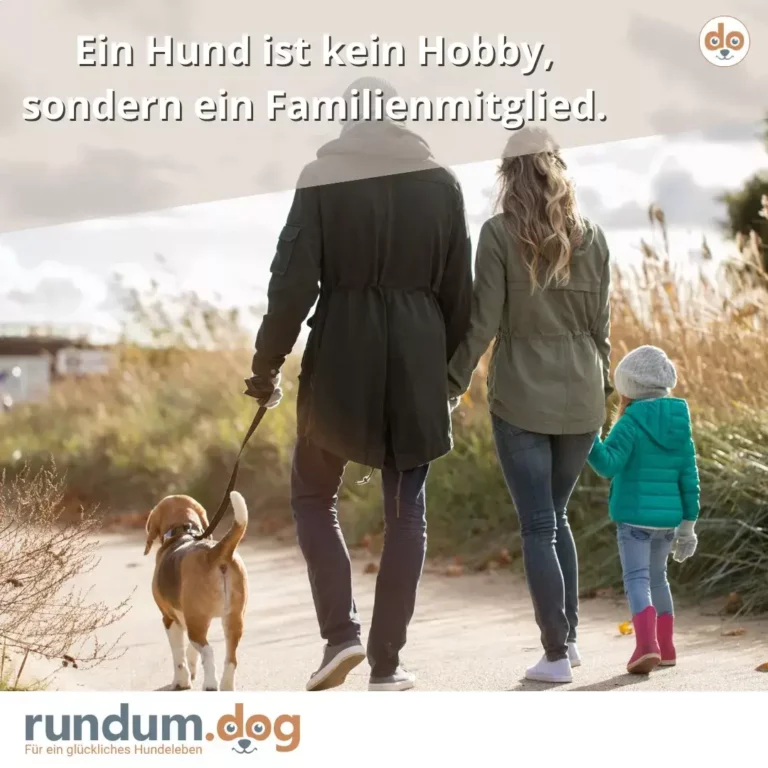 Familie mit zwei Kindern und Hund spaziert auf einem Feldweg, Hund läuft neben der Person an der Leine